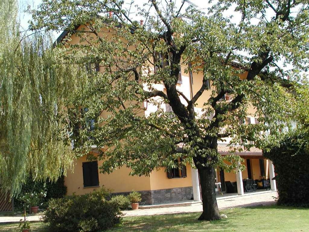 Ca' Dal Matt Hotell Borgo Ticino Exteriör bild
